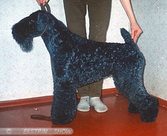 unknown photo 1