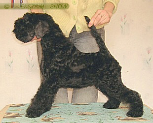 аХГМЕЯЛЕМ - 2 ЛЕЯ.